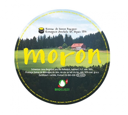 moron logo